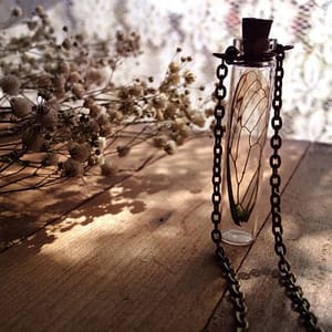 9d0d27019909d3c885570223b7436131 real cicada specimen wing Necklace y2k grunge goblin core cottage forest witchy witch celestial goth