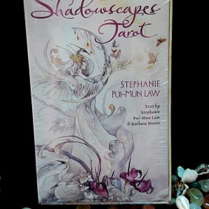 HTB1B5LLi5MnBKNjSZFCq6x0KFXae Tarot cards ShadowscapesTarot Mysterious magic tarot cards