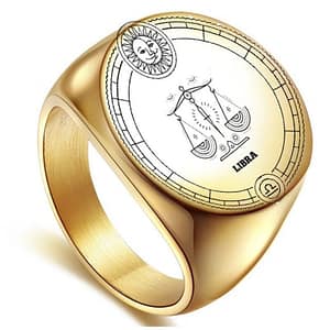 He48eb7f2a6ca45c1aaafaa50fa53aeb5k Punk Vintage Twelve Constellations Rings