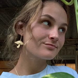 the-golden-shiitake-mushroom-earrings-ravenstone-earrings-nickel-free-jewelry the golden shiitake mushroom earrings ravenstone earrings nickel free jewelry